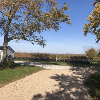 Mattebella Vineyards - Wineries Near Me - Southold, New York Mattebella Vineyards - Wineries Near Me - Southold, New York