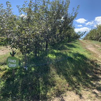 Sky Top Orchard - Pick Your Own Farms Near Me - Zirconia, North Carolina