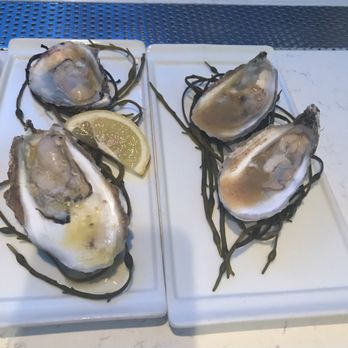 Haven - Raw and Roasted Oysters - Venues & Event Spaces Near Me - Tampa, Florida