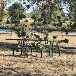 Eagle Lake - Picnic area