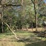 Photo of Brandon’s Landscaping