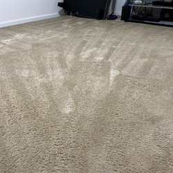 The Carpet Cleaner - Area treated, two major big spots.