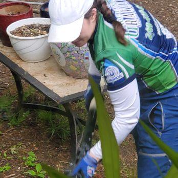 Green Gravity Cleaning - Sallie tackling the down spout and sides of porch steps. - Pressure Washers Near Me Green Gravity Cleaning - Sallie tackling the down spout and sides of porch steps. - Pressure Washers Near Me