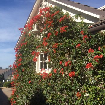 San Ysidro Ranch - Hotels Near Me - Montecito, California San Ysidro Ranch - Hotels Near Me - Montecito, California