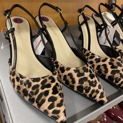 TJ Maxx - Grrrr!