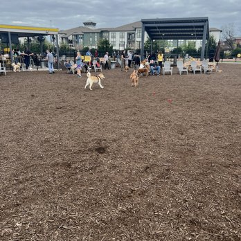 The Tailgate ATX - Bars Near Me - Austin, Texas