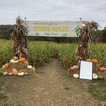Engelke Farm - a corn maze with pumpkins and corn stalks - Fruits & Veggies Near Me - Troy, New York