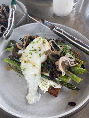 Fair Weather by null Fair Weather by null