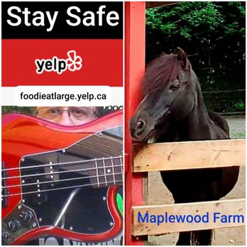 Maplewood Farm - 'Maplewood Farm' Coquitlam,bc.  foodieatlarge.yelp.ca - Farms Near Me - North Vancouver, British Columbia