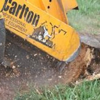 Js Tree & Stump - stump cutting - Tree Services Near Me - Waterford, Pennsylvania Js Tree & Stump - stump cutting - Tree Services Near Me - Waterford, Pennsylvania