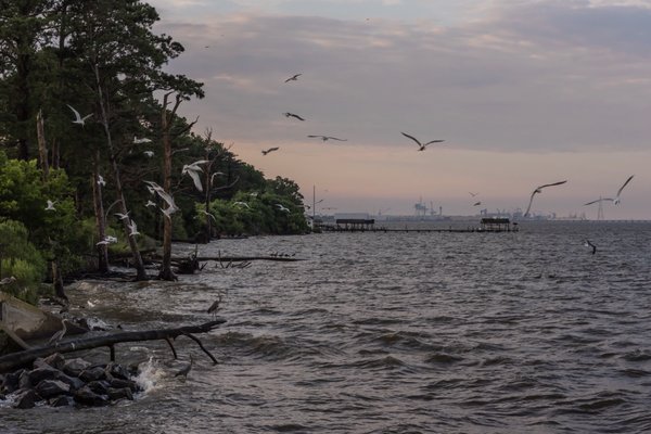 LION S BRIDGE Updated March 2026 41 Photos 1 3 Museum Dr Newport