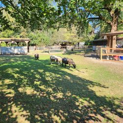 Maplewood Farm
