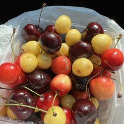 Sara Hardy Farmers Market - Delicious cherries