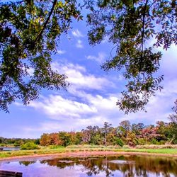 Ray Roberts Lake State Park - Johnson Branch Unit - Peace