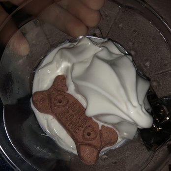Screamers Ice Cream - Pup cup - Ice Cream & Frozen Yogurt Near Me - Sterling Heights, Michigan Screamers Ice Cream - Pup cup - Ice Cream & Frozen Yogurt Near Me - Sterling Heights, Michigan