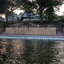 Massive lakeside tree on a hill