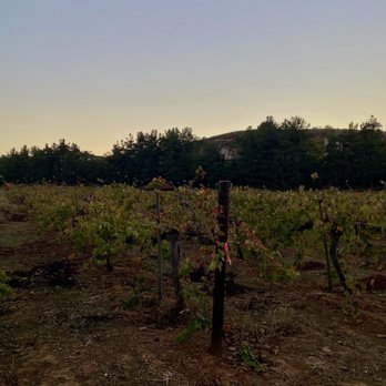 Twin Oaks Valley Winery - Beautiful property - Wineries Near Me - San Marcos, California Twin Oaks Valley Winery - Beautiful property - Wineries Near Me - San Marcos, California