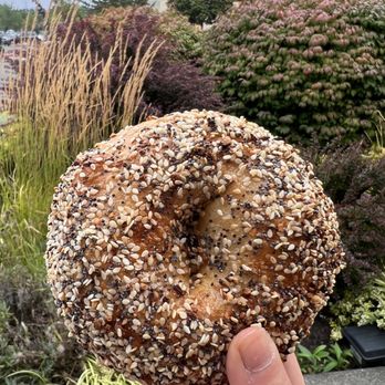Mt. Bagel - Bagels Near Me - Seattle, Washington Mt. Bagel - Bagels Near Me - Seattle, Washington
