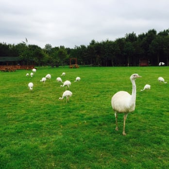 Boship Farm Hotel - Hotels Near Me