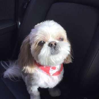 My Pet Garden - Pet Stores Near Me - Pasadena, California My Pet Garden - Pet Stores Near Me - Pasadena, California