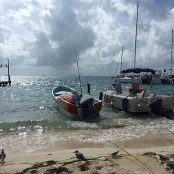 Picus - Seafood Near Me - Isla Mujeres, ROO