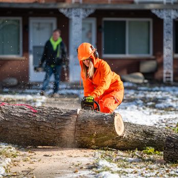 Harrison's Pro Tree Service - Tree Services Near Me - Franklin, Ohio Harrison's Pro Tree Service - Tree Services Near Me - Franklin, Ohio