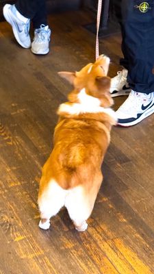 Ninth Street Espresso by null