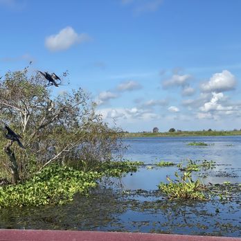 Marsh Beast Airboat Tours - Boat Tours Near Me - Vero Beach, Florida Marsh Beast Airboat Tours - Boat Tours Near Me - Vero Beach, Florida