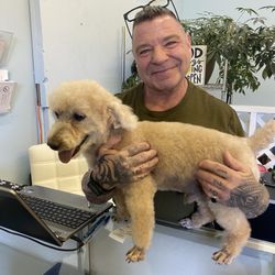 The Dogfather's - Daniel, owner/operator, welcoming smile & very professional with my groomed Poodle
