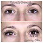 Photo of Lash Out