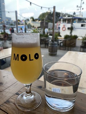 Molo Brew by null