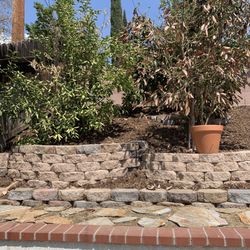 Rodriguez Landscaping - Different view of all way and tree area