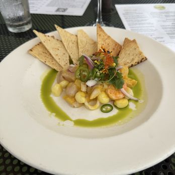 Ulele - Ceviche - New American Near Me - Tampa, Florida Ulele - Ceviche - New American Near Me - Tampa, Florida
