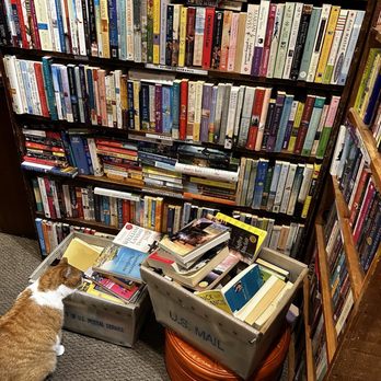 The Book Trader - Resident cat - Bookstores Near Me - Philadelphia, Pennsylvania The Book Trader - Resident cat - Bookstores Near Me - Philadelphia, Pennsylvania