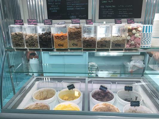 Salty Paws Doggy Ice Cream Bar And Bakery by null