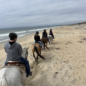 Monterey Bay Equestrian Center - Horseback Riding Near Me - Castroville, California Monterey Bay Equestrian Center - Horseback Riding Near Me - Castroville, California