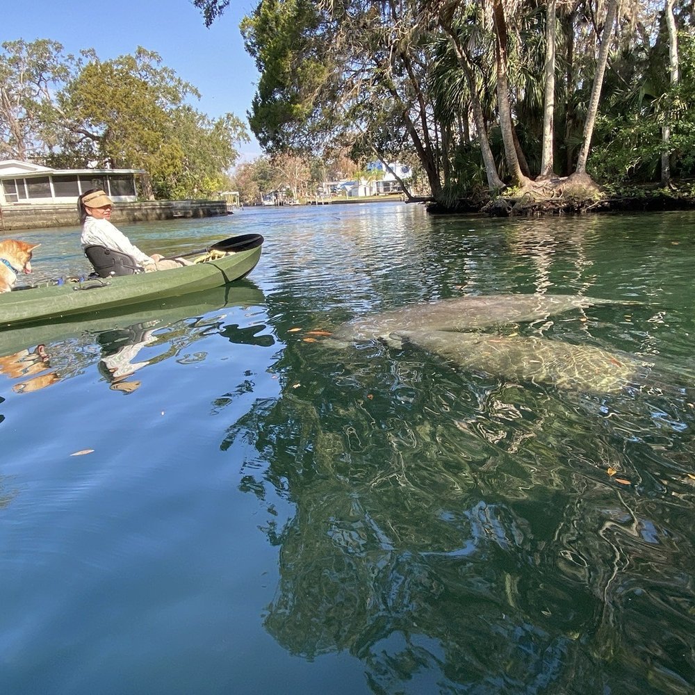Weeki Wachee Kayaking - Rafting/Kayaking Near Me - Weeki Wachee, Florida Weeki Wachee Kayaking - Rafting/Kayaking Near Me - Weeki Wachee, Florida