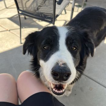 Iron Hub Winery - Look at that smile - Wineries Near Me - Plymouth, California Iron Hub Winery - Look at that smile - Wineries Near Me - Plymouth, California