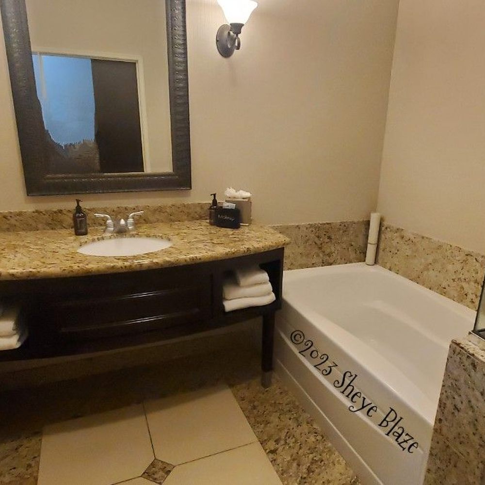 Oxford Suites Boise - The bathroom. - Hotels Near Me - Boise, Idaho