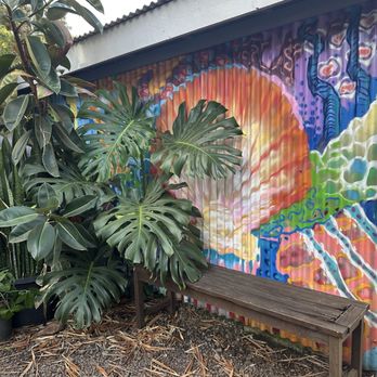 Sunrise Coffee - Beautiful mural - Coffee & Tea Near Me - Lihue, Hawaii Sunrise Coffee - Beautiful mural - Coffee & Tea Near Me - Lihue, Hawaii