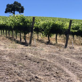 Alta Colina - Vineyard - Wineries Near Me - Paso Robles, California