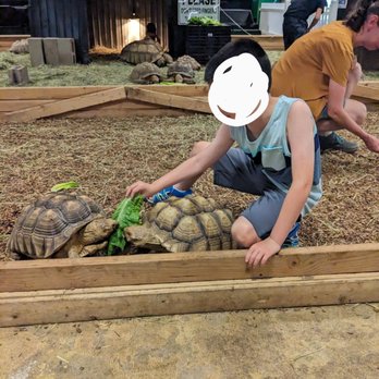 Idaho Reptile Zoo - Tortoise feeding time! - Zoos Near Me - Boise, Idaho Idaho Reptile Zoo - Tortoise feeding time! - Zoos Near Me - Boise, Idaho