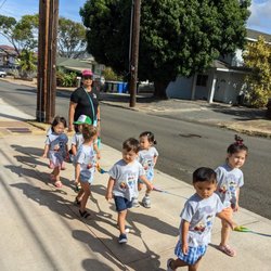 The Toddler Program