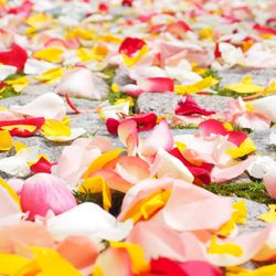 Sacred Goddess Temple - Full Moon Gathering