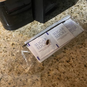 Floridays Resort Orlando - Cockroach in the kitchen - Hotels Near Me - Orlando, Florida