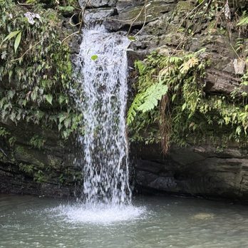 El Yunque Rainforest - Hiking Near Me - Luquillo, Puerto Rico El Yunque Rainforest - Hiking Near Me - Luquillo, Puerto Rico