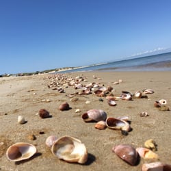 Cisco Beach