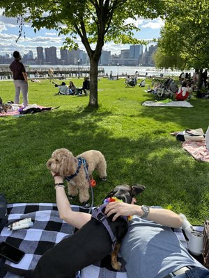 Gantry Plaza State Park by null