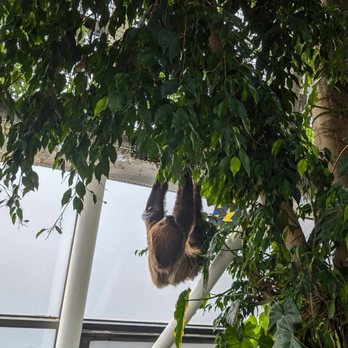 National Aquarium - Aquariums Near Me - Baltimore, Maryland National Aquarium - Aquariums Near Me - Baltimore, Maryland
