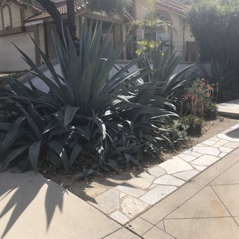 LTS Landscape Design + Build - Before - Landscaping Near Me - Corona, California
